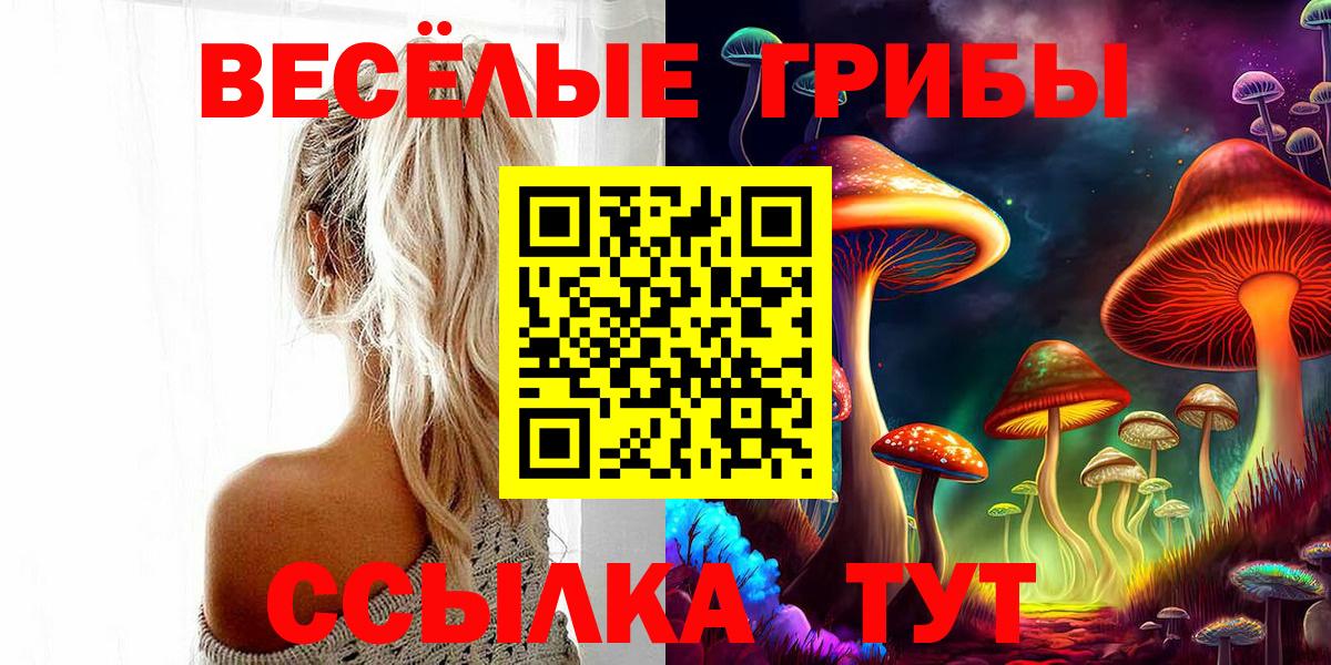 Псилоцибиновые грибы мицелий  Вход с VPN  Лосино-Петровский 