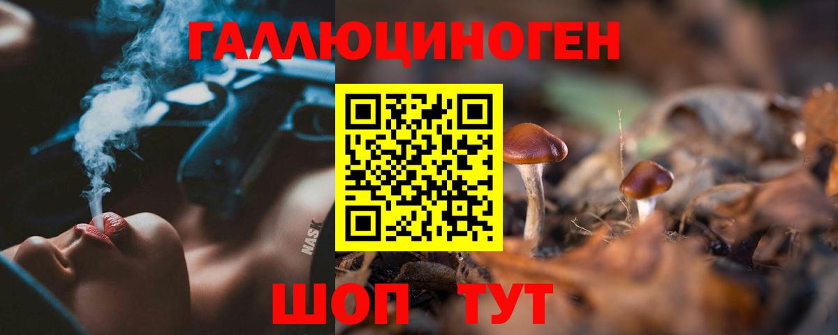 Галлюциногенные грибы Psilocybe Лосино-Петровский