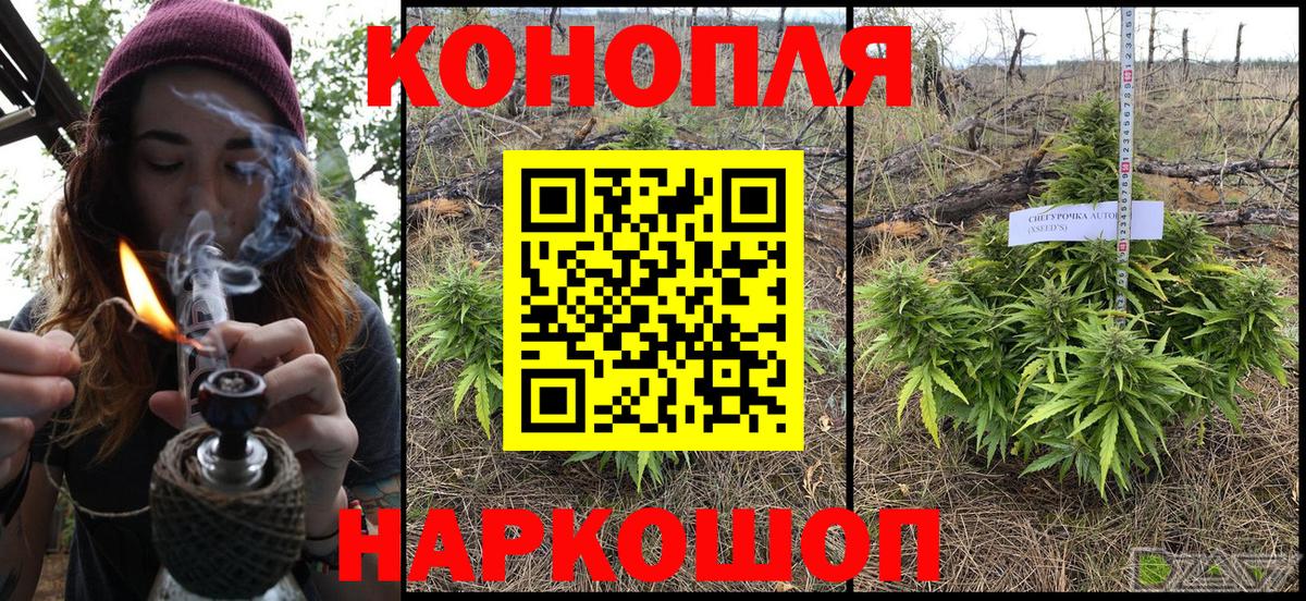МАРИХУАНА сатива Лосино-Петровский